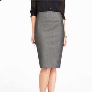 Express Skirt